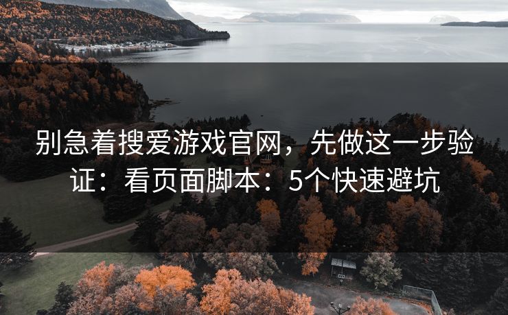 别急着搜爱游戏官网,先做这一步验证:看页面脚本:5个快速避坑
