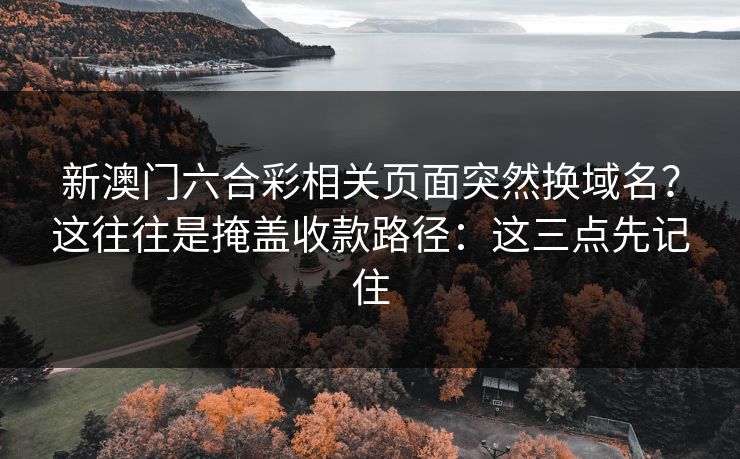 新澳门六合彩相关页面突然换域名？这往往是掩盖收款路径：这三点先记住