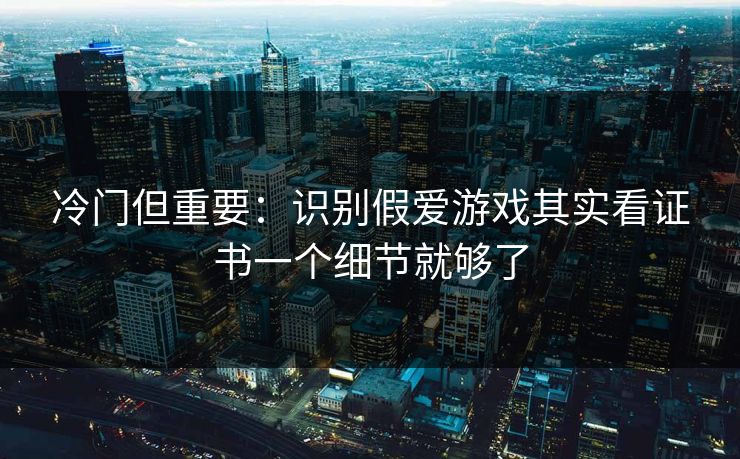 冷门但重要:识别假爱游戏其实看证书一个细节就够了 冷门但重要:识别假爱游戏其实看证书一个细节就够了