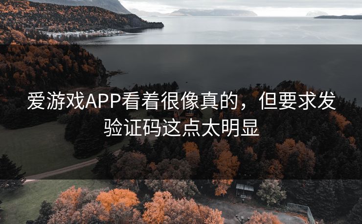 爱游戏APP看着很像真的,但要求发验证码这点太明显