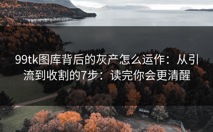 99tk图库背后的灰产怎么运作:从引流到收割的7步:读完你会更清醒